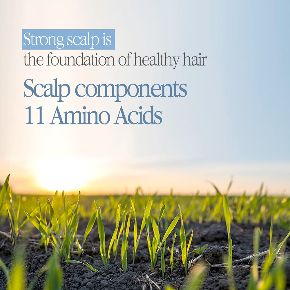 Bouquet Garni Deep Perfume Shampoo Baby Powder 500ml