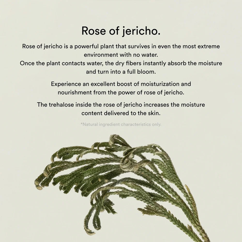 Abib Collagen gel mask Jericho rose jelly