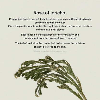 Abib Collagen gel mask Jericho rose jelly