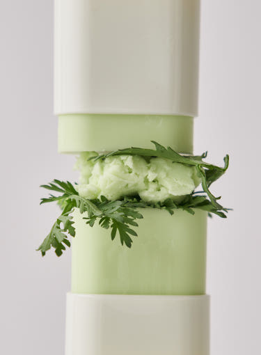 Beauty of Joseon Matte sun stick Mugwort + Camelia double set