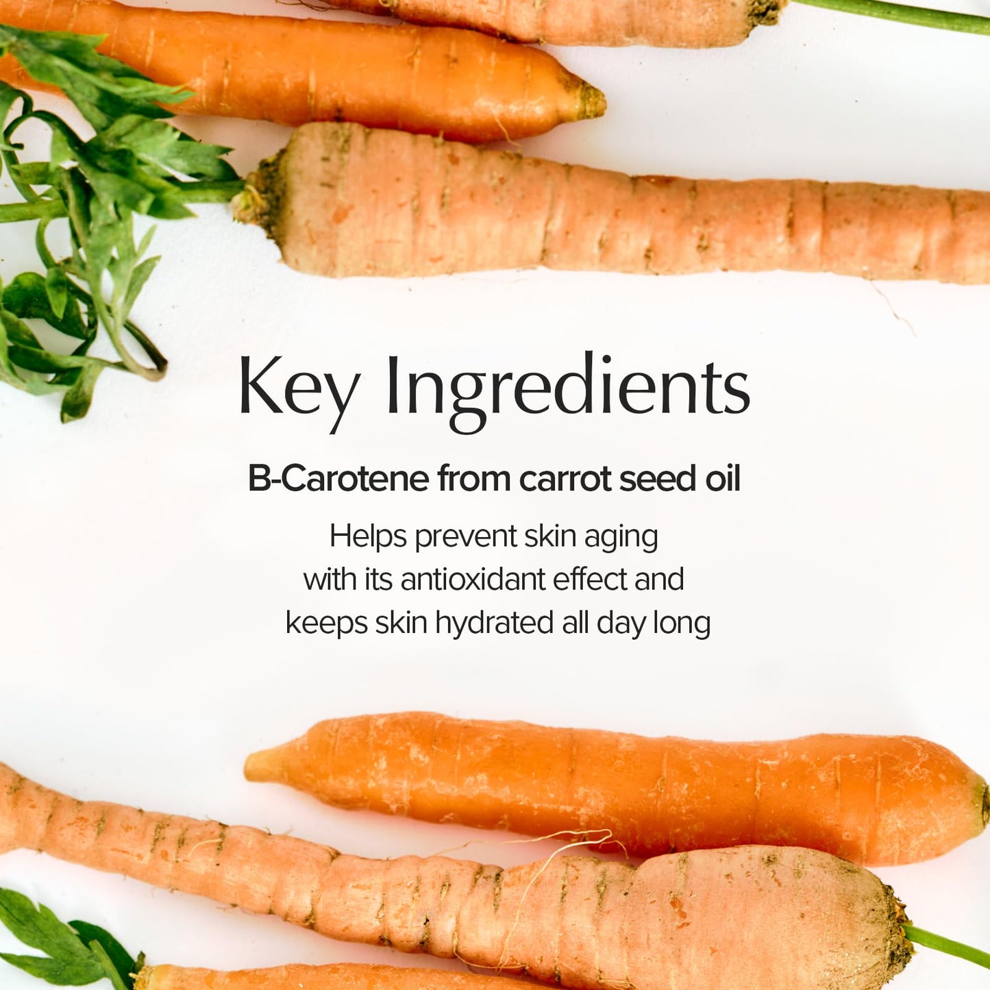 SKINFOOD Carrot Carotene Calming Water Pad 250g (60 Pads)