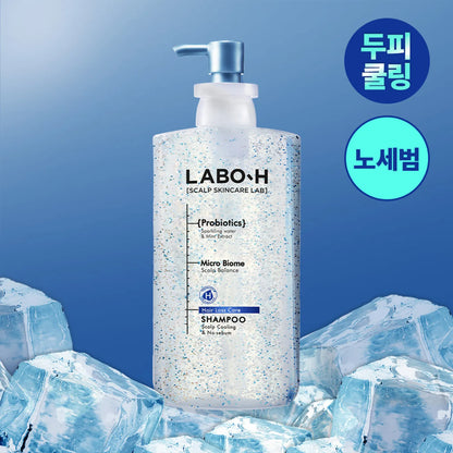 LABO-H Hair Loss Care Scalp Cooling & No Sebum Shampoo