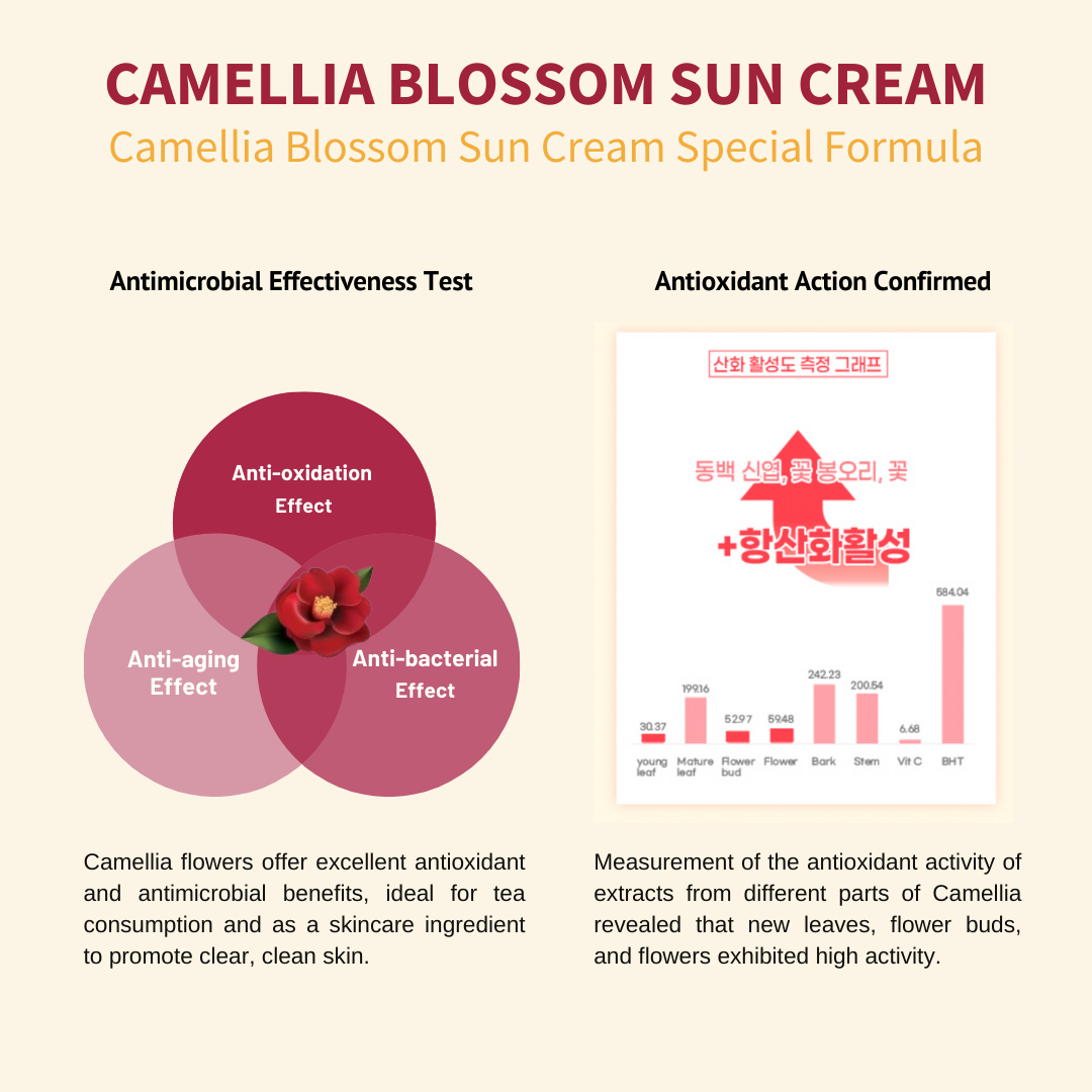 JEJU INDI Blossom Sun Cream 50ml