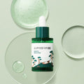 Round Lab Pine Calming Cica Ampoule 30ml - Koreanskinca.re